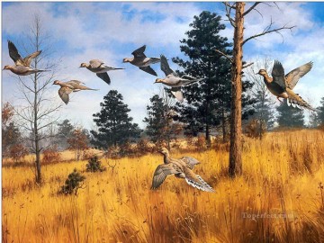 oiseau migrateur en automne Peinture à l'huile